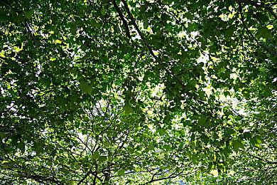 B站游戏大赏：日本“文化殖民”下的美国，铃空RPG新作《昭和米国物语》正式公布！